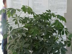 -江阴市图书馆(璜土镇分馆)