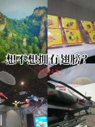 -飞览天下沉浸式飞行体验(北京旗舰店)