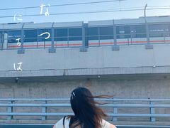 -海堤纪念公园