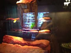 -食间牛排(湖西路店)