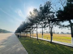 -汉长安城未央宫国家考古遗址公园