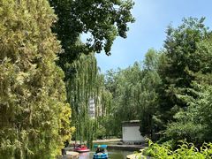 -团结湖公园