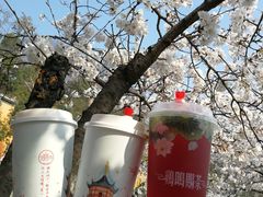 -鸡鸣赐茶(鸡鸣寺路店)
