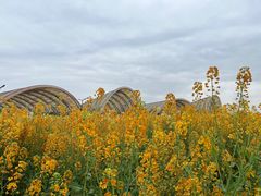 -中国天府农业博览园