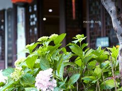 -虎哥私房菜(馒头山店)