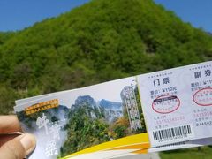 -牛背梁国家森林公园