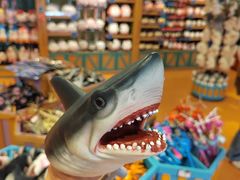 -海合安武汉极地海洋公园