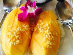 -Jungle Kitchen