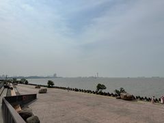 -上海滨江森林公园