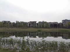-两河城市森林公园