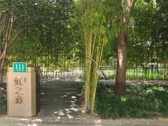-虹之森·小馆
