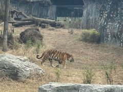 -武汉动物园