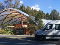 -怀托摩萤火虫洞