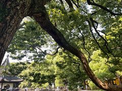 -西园戒幢律寺