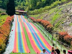 -栾川竹海野生动物园