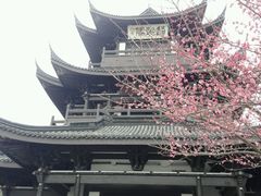 -范蠡湖公园
