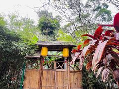 -广州兰圃