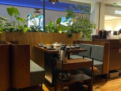 -同仁四季椰子鸡(宝安壹方城店)