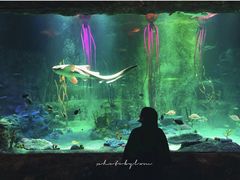 -沈阳海洋探索中心