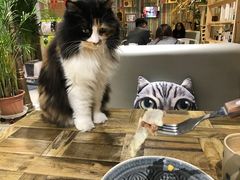 -小时光咖啡馆(开森度假森林店)
