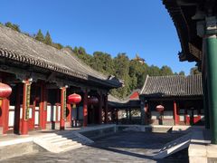 -听鹂馆饭庄(颐和园店)