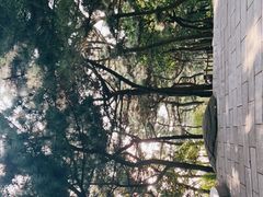 -燕窝岭