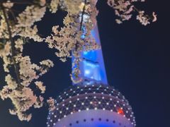 -东方明珠广播电视塔