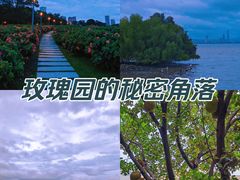 -深圳湾公园(南山区)
