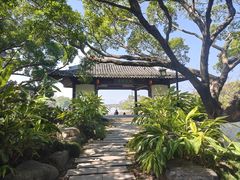 -江心屿景区