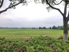 -阳澄湖半岛旅游度假区