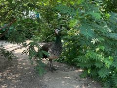 -森林公园(尖草坪区)