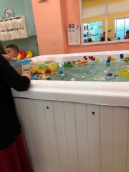 点击看大图 -TAILY BABYSPA泰丽宝贝婴儿游泳(金狮广场店)