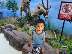 -西霞口神雕山野生动物世界