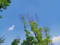 -白鹭湾湿地公园