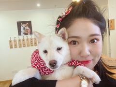 -柴犬小屋·柴餐厅·狗咖食堂(金鼎广场店)