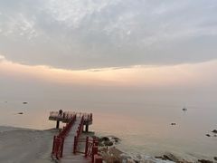 -养马岛旅游度假区