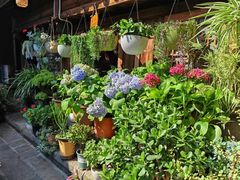 -龙姐私房菜(和顺古镇店)