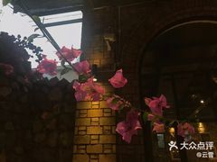 -鱼凫人家