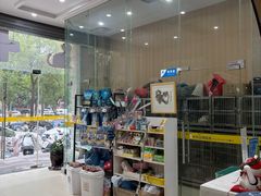 -米苏动物医院·犬猫专科·骨科外科内窥镜