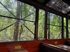 -合肥滨湖国家森林公园