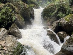 -青城山