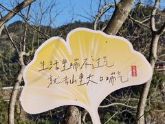 -大慈岩风景区