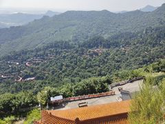 -大芦花风景区