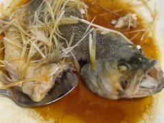 -东鸽皇(奥园·中环广场店)