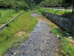 -红山村