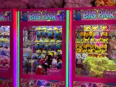 -BIG PINK大粉娃娃机主题馆(圆融星座店)