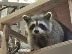 -正佳雨林生态植物园