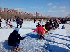 -前关湿地公园
