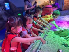 -蕃茄田艺术(普陀长风大悦城中心)