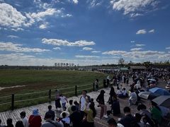 -盐城丹顶鹤湿地生态旅游区